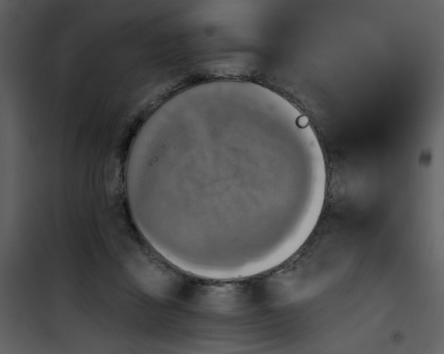 X0000101140411200807181259