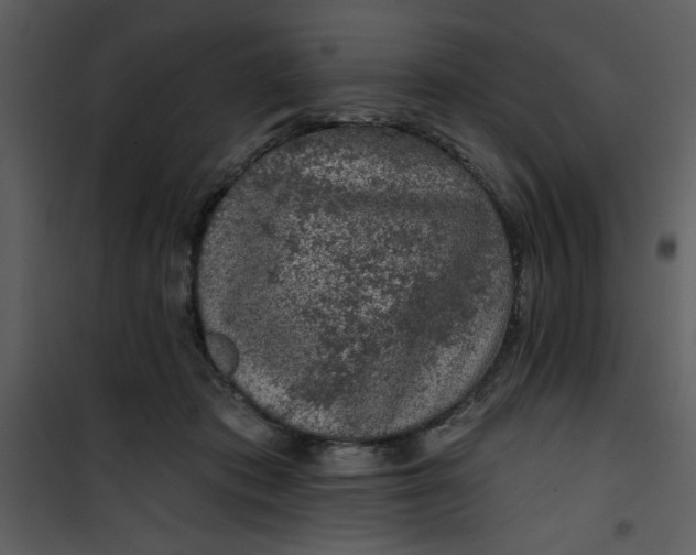 X0000101140413200807181259