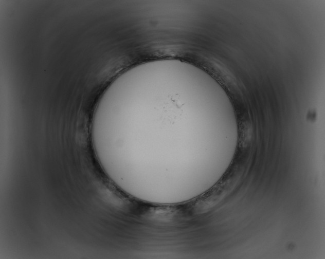 X0000101140414200807181259