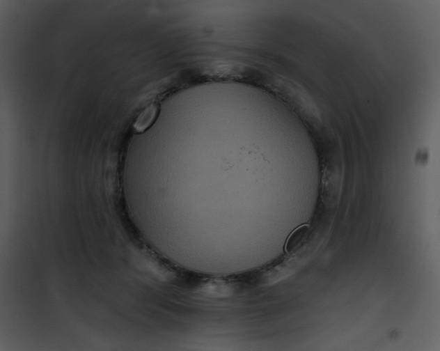 X0000101140416200807181259