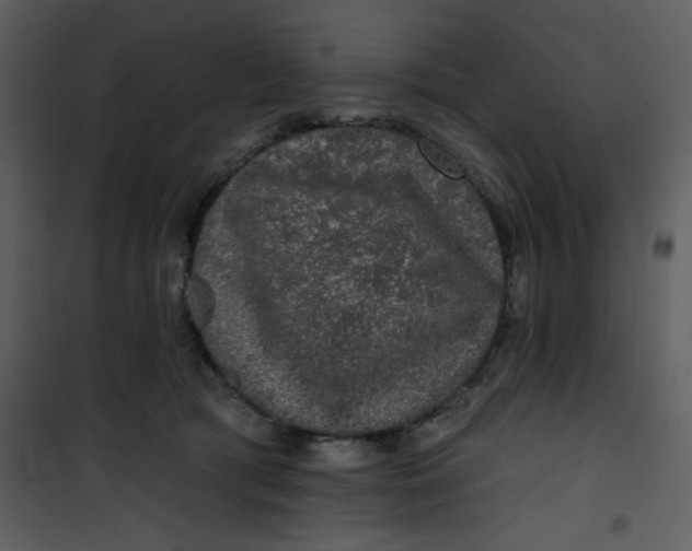 X0000101140417200807181259