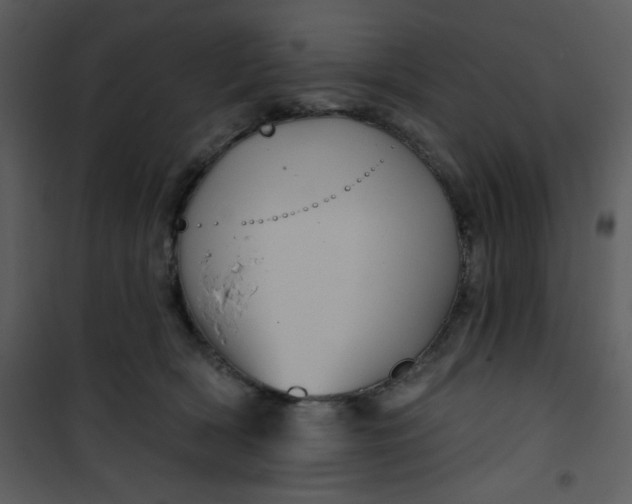 X0000101140418200807181259