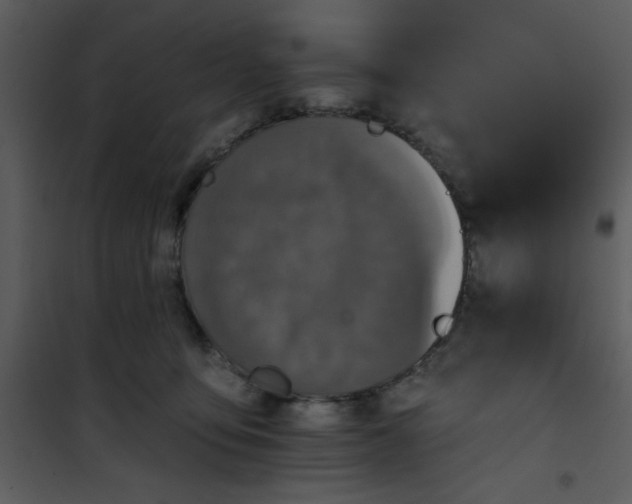 X0000101140419200807181259