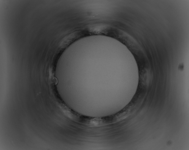 X0000101140420200807181259