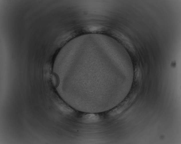 X0000101140421200807181259