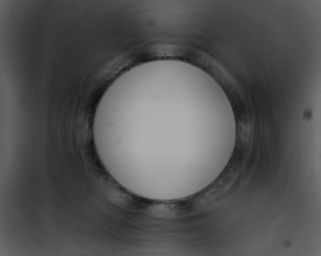 X0000101140422200807181259