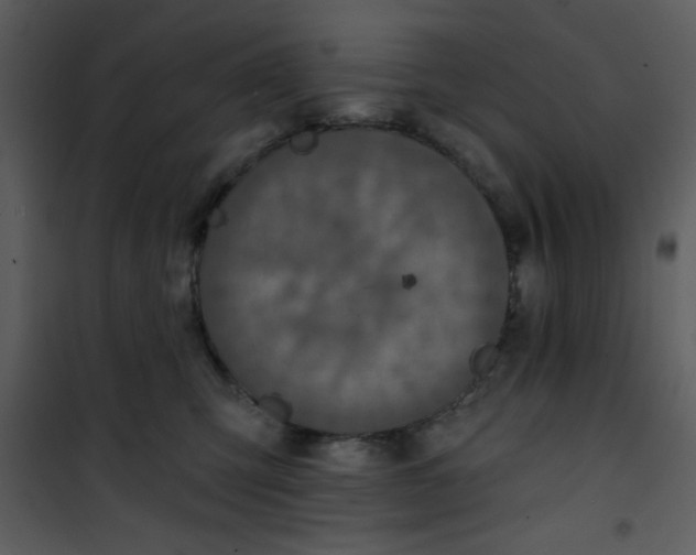 X0000101140423200807181259