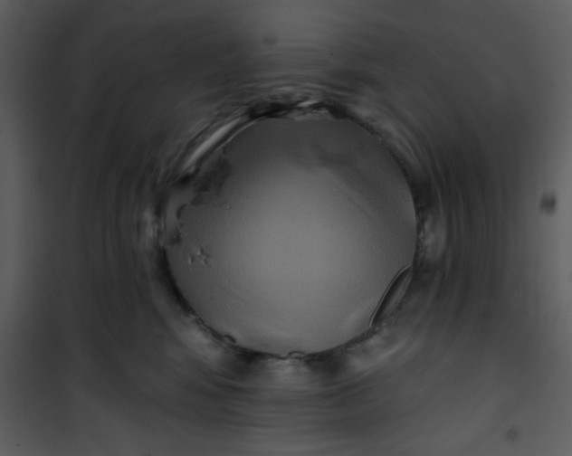 X0000101140424200807181259