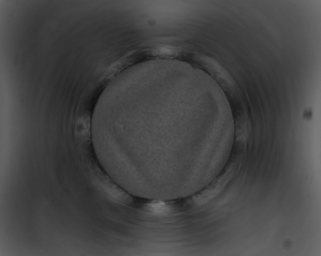 X0000101140425200807181259