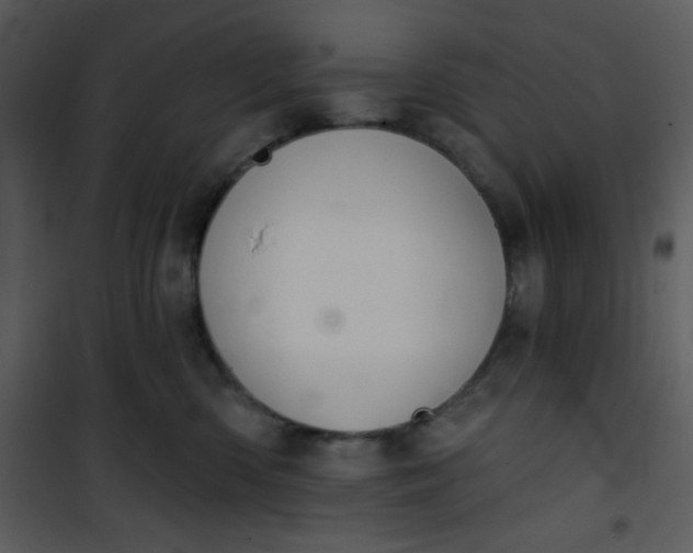 X0000101140426200807181259