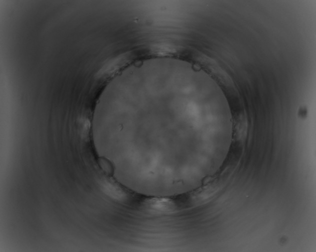 X0000101140427200807181259