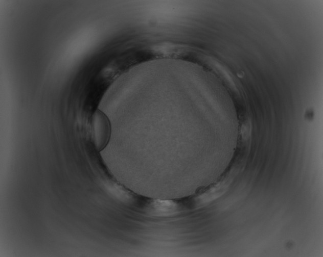 X0000101140429200807181259