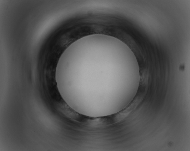 X0000101140430200807181259