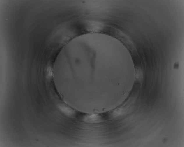 X0000101140431200807181259