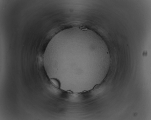 X0000101140432200807181259