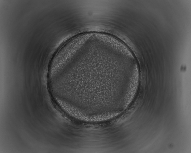 X0000101140434200807181258