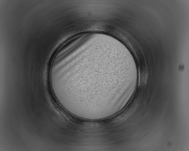 X0000101140435200807181258