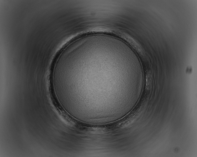 X0000101140436200807181258