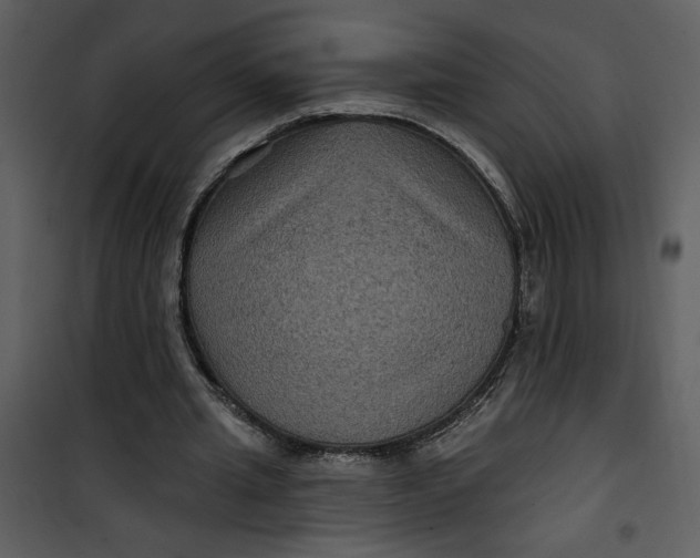 X0000101140437200807181258