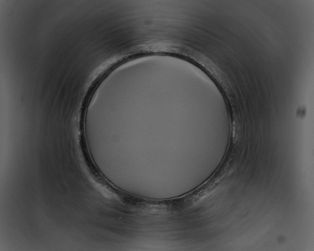 X0000101140438200807181258