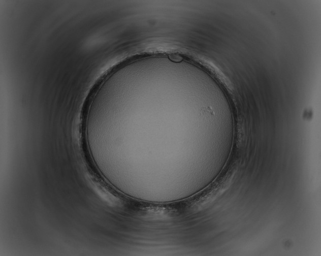 X0000101140439200807181258