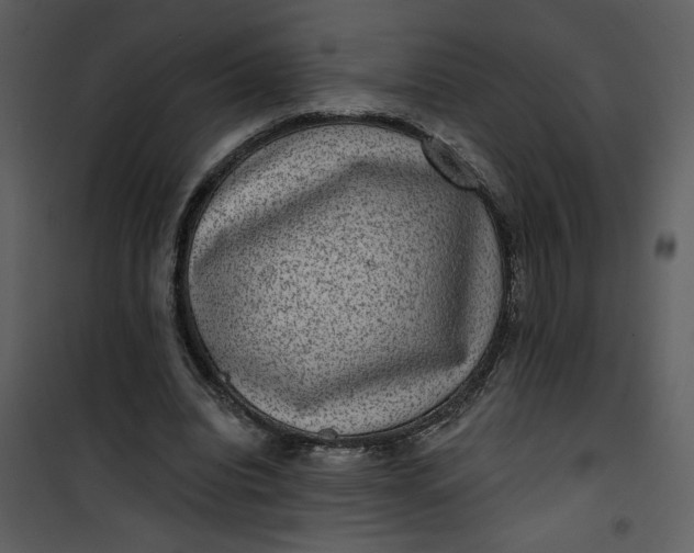 X0000101140440200807181258