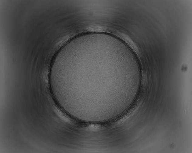 X0000101140441200807181258