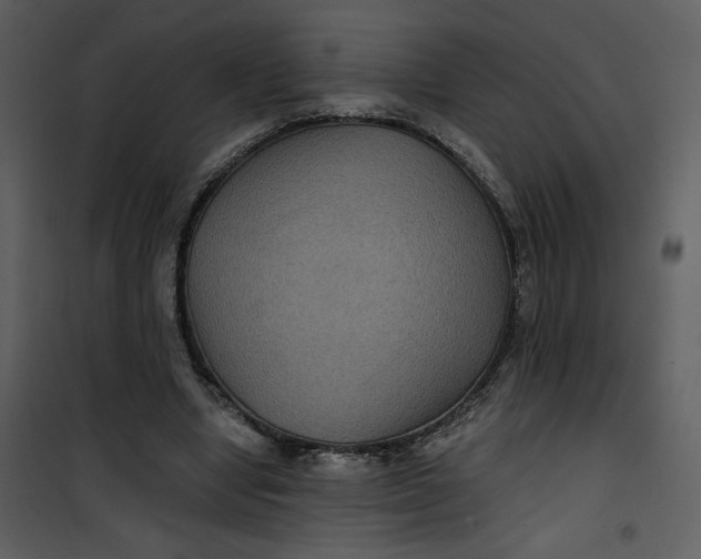 X0000101140442200807181258