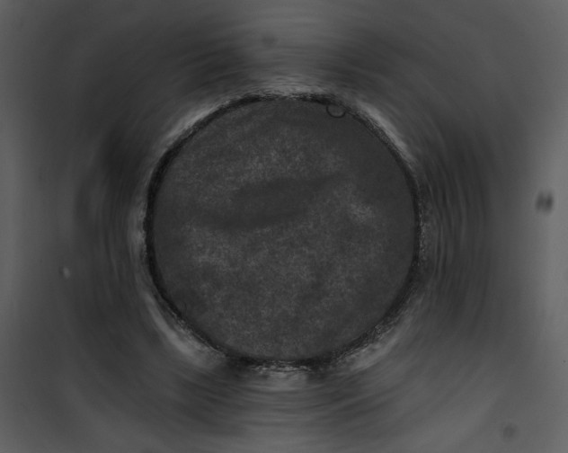 X0000101140443200807181259