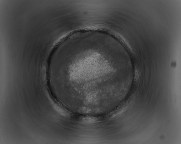 X0000101140444200807181259