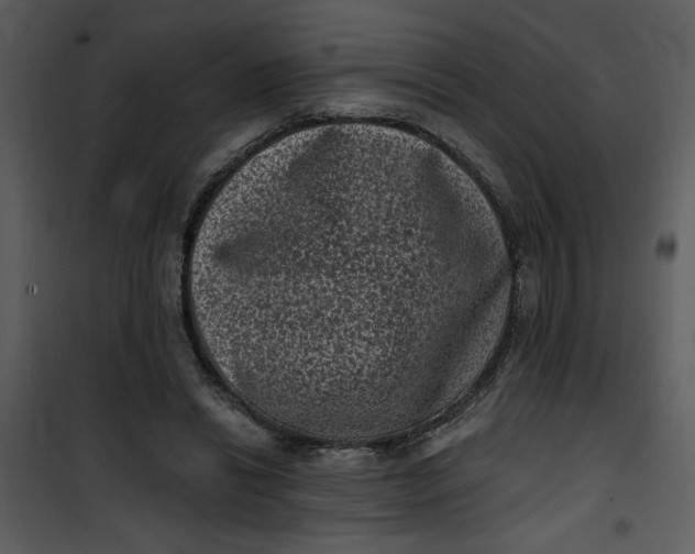 X0000101140446200807181259