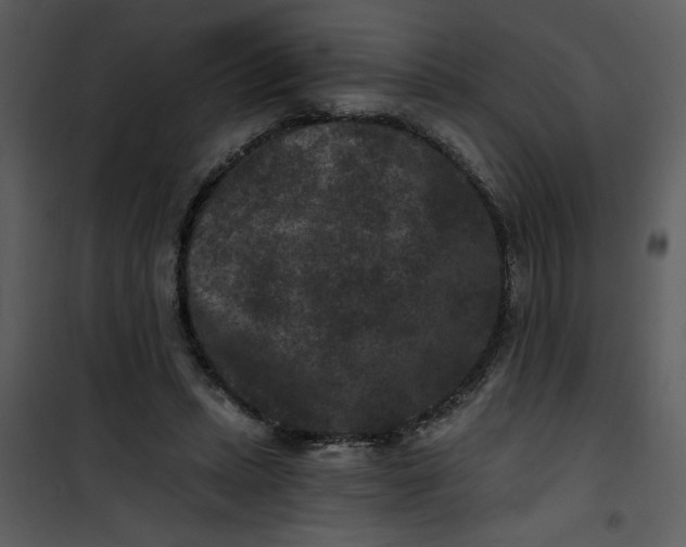 X0000101140447200807181259