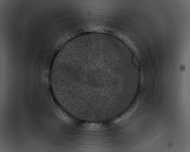 X0000101140449200807181259