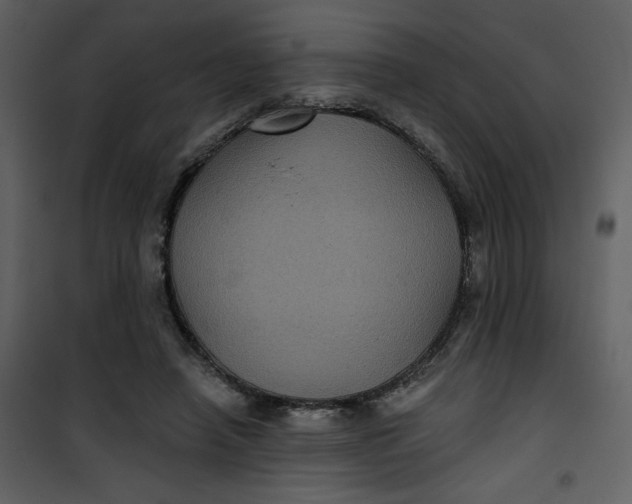 X0000101140450200807181259