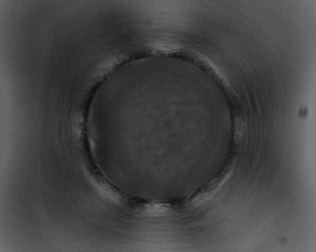 X0000101140451200807181259