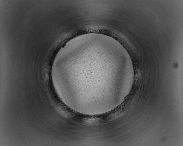 X0000101140452200807181259