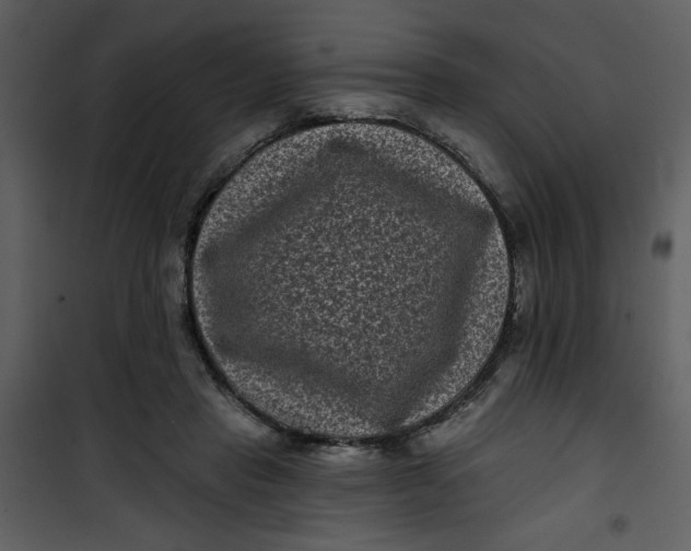 X0000101140453200807181259