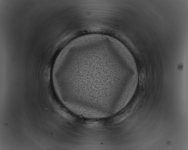 X0000101140454200807181259