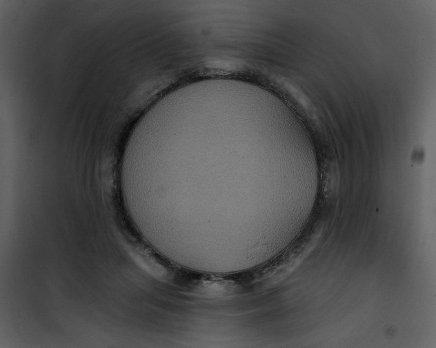 X0000101140455200807181259