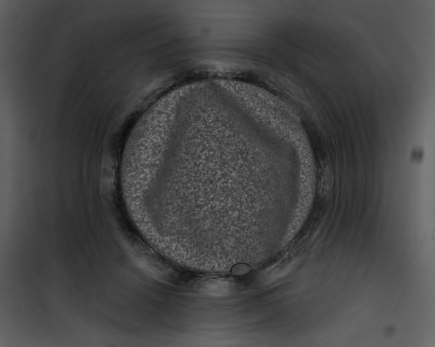 X0000101140456200807181259