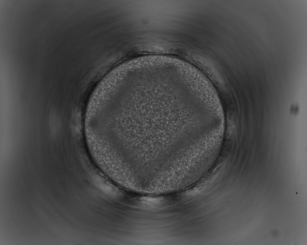 X0000101140457200807181259