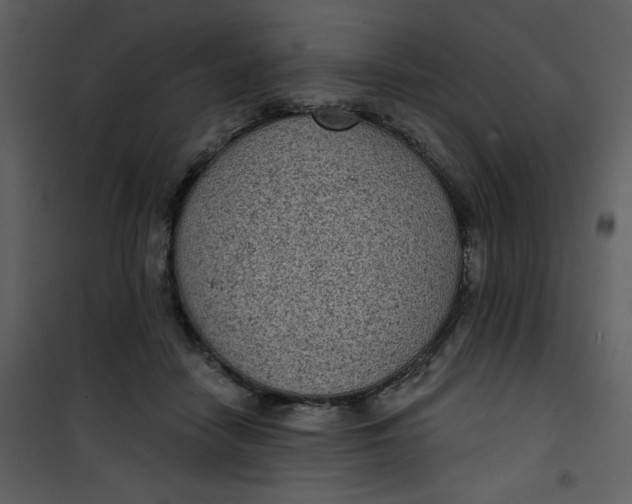 X0000101140458200807181259