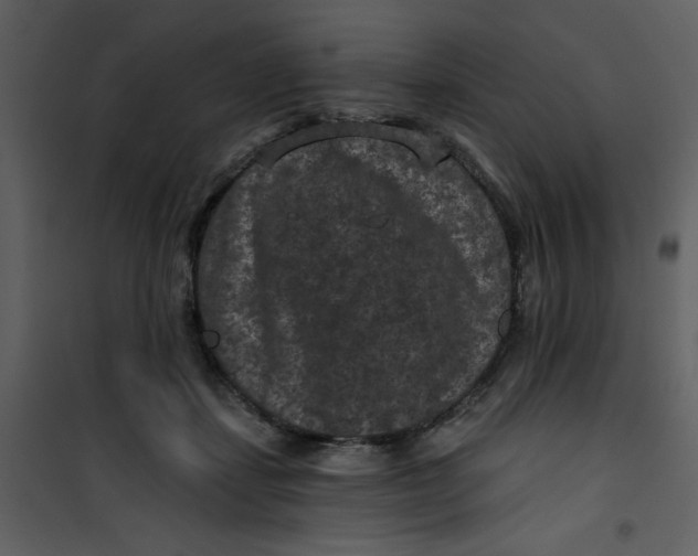 X0000101140459200807181259