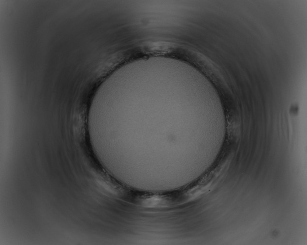 X0000101140460200807181259