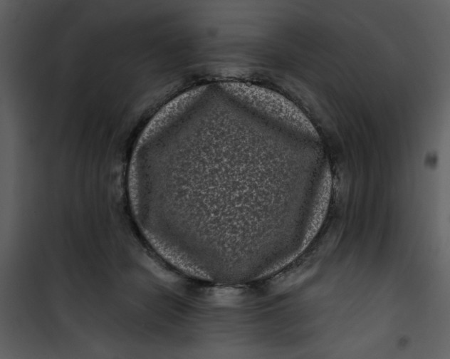 X0000101140462200807181259