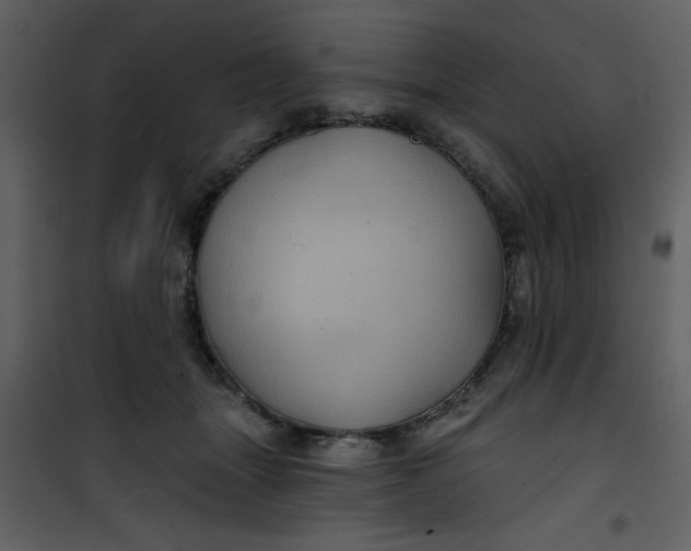 X0000101140463200807181259