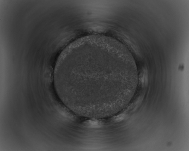 X0000101140464200807181259