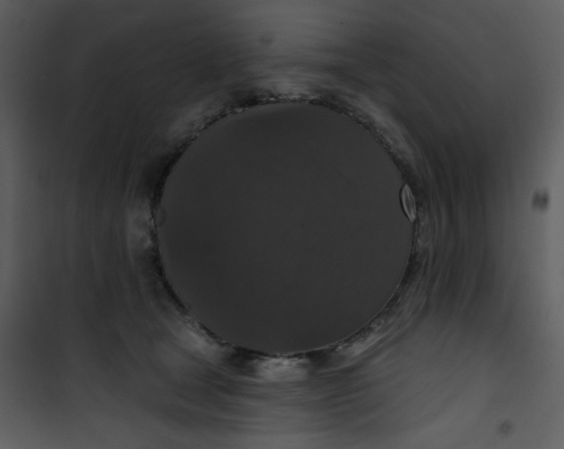 X0000101140465200807181259