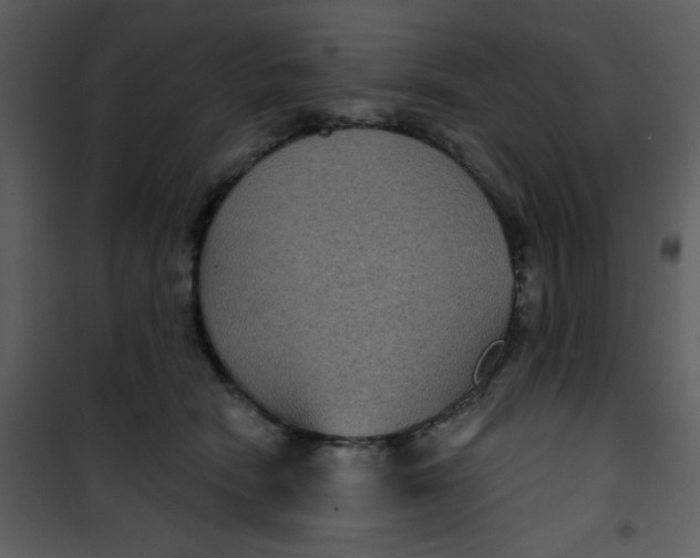 X0000101140466200807181259