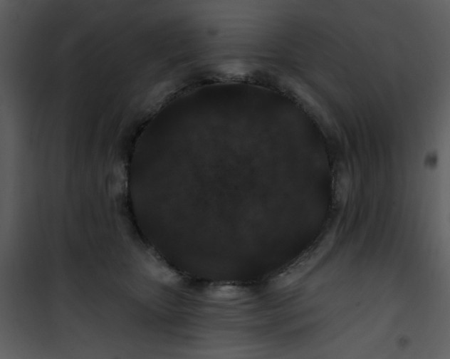 X0000101140467200807181259